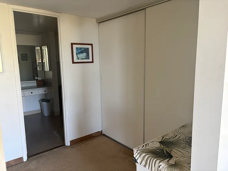 There is a spacious dressing area with two closets.
