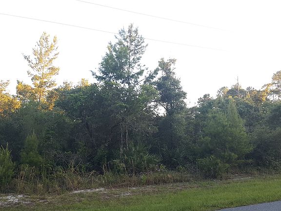 4th image of 32820 Chippewa Ave