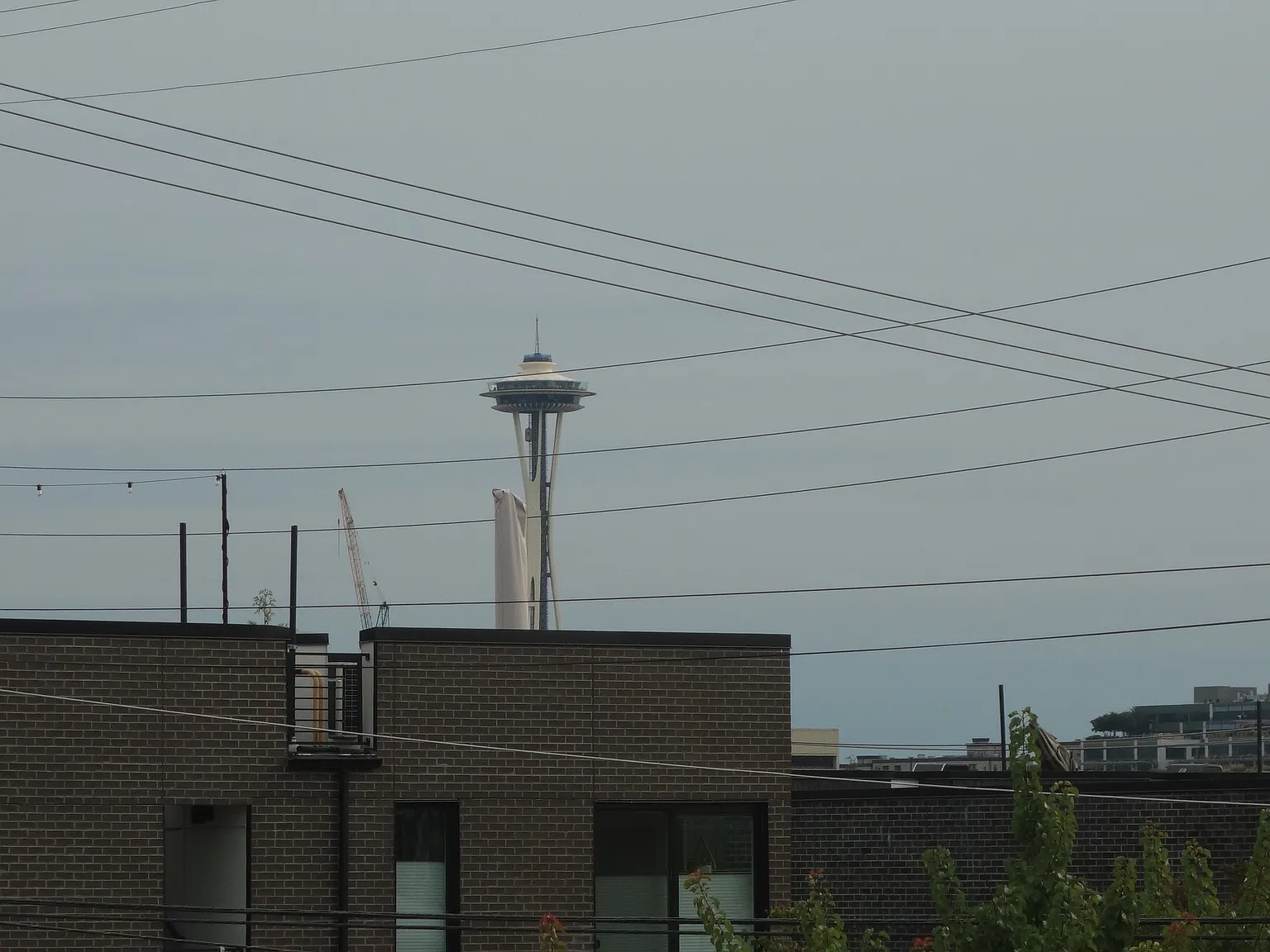 1 bed, 700 sqft, $1,775 — Photo 2
