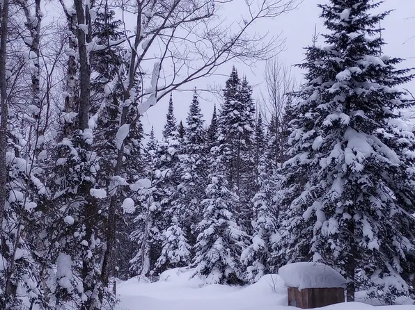 0 E County Rd #H58, Grand Marais, MI 49839