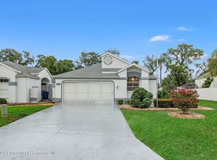 11031 Casa Grande Cir, Spring Hill, FL 34608