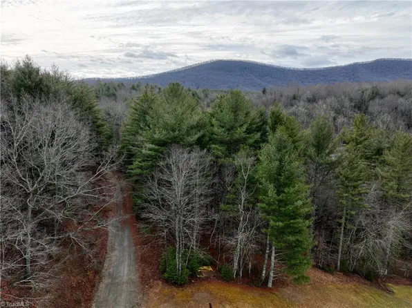 0 Dewitt Rd, Glade Valley, NC 28627