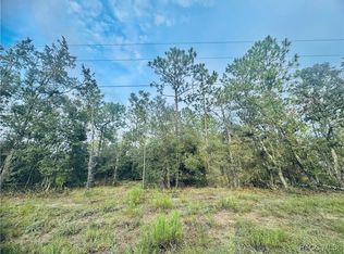SE 136th Ter, Dunnellon, FL 34431