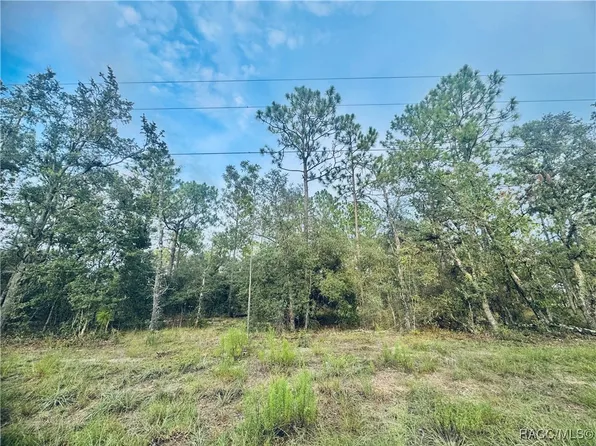 SE 136th Ter, Dunnellon, FL 34431