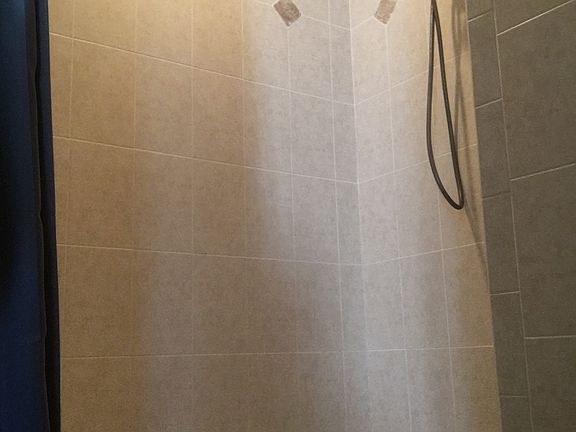 Master shower