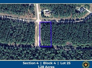 10999 Ruger Rd Lot 25, Willis, TX 77378
