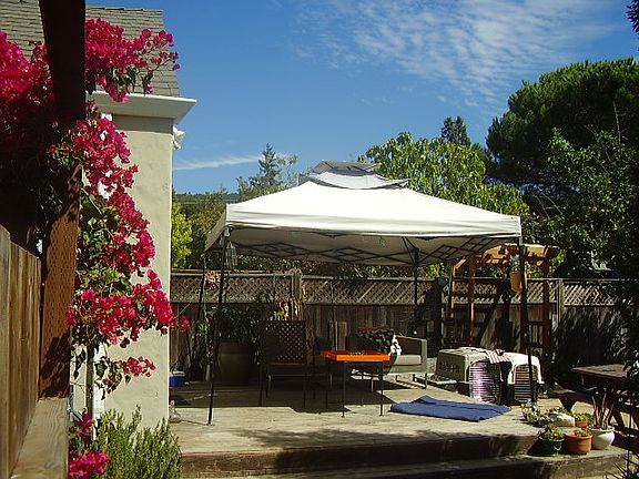 Backyard Patio