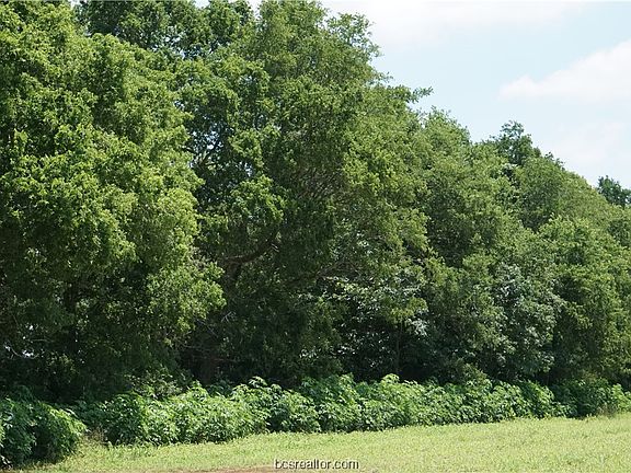 2nd image of 750 County Road 328