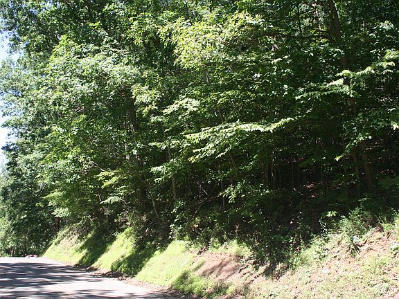 N. View onSleepy Hollow