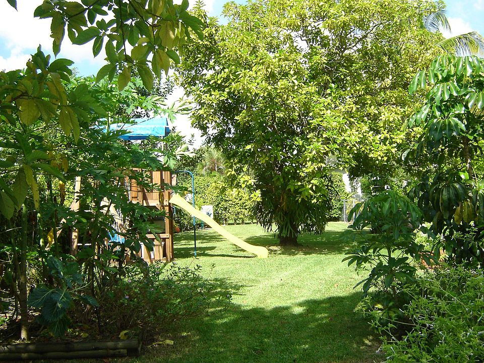 back garden