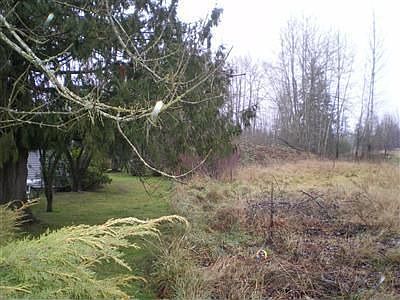 2nd image of 11715 34th Ave E