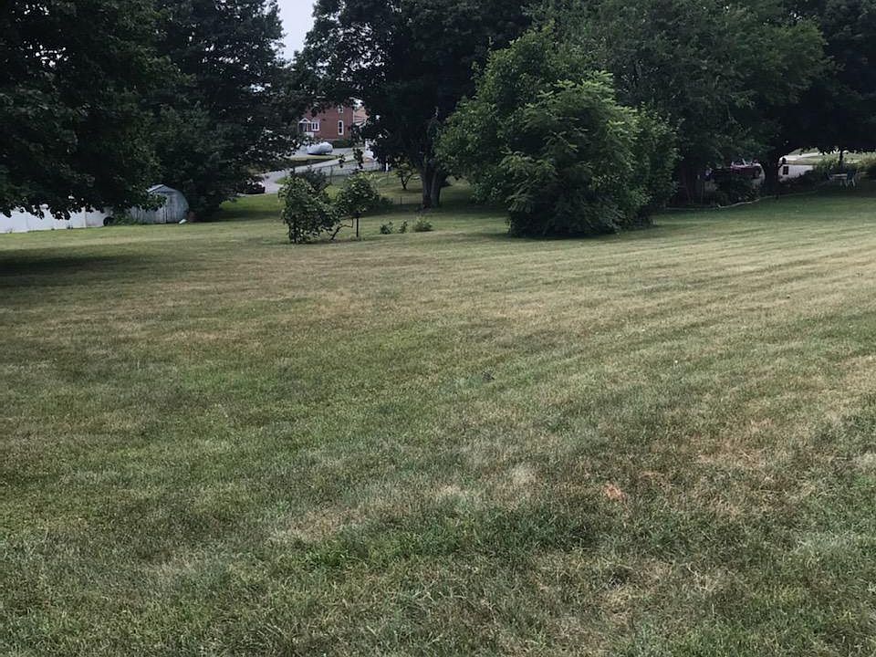 2nd image of Locust St
