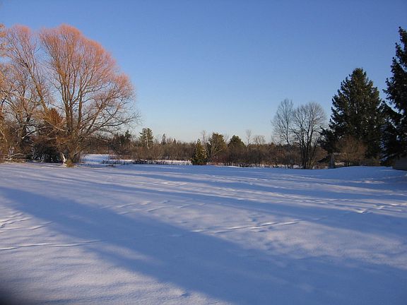 5th image of 607 Island View Dr Lot 85