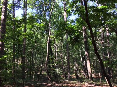 906 Wolf Pit Rd, Toccoa, GA, 30538
