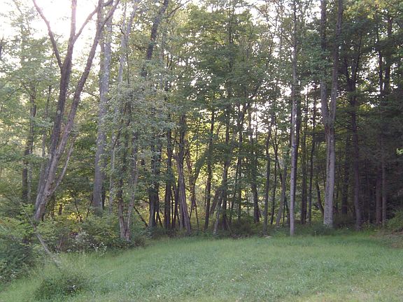 5 acres of woods!