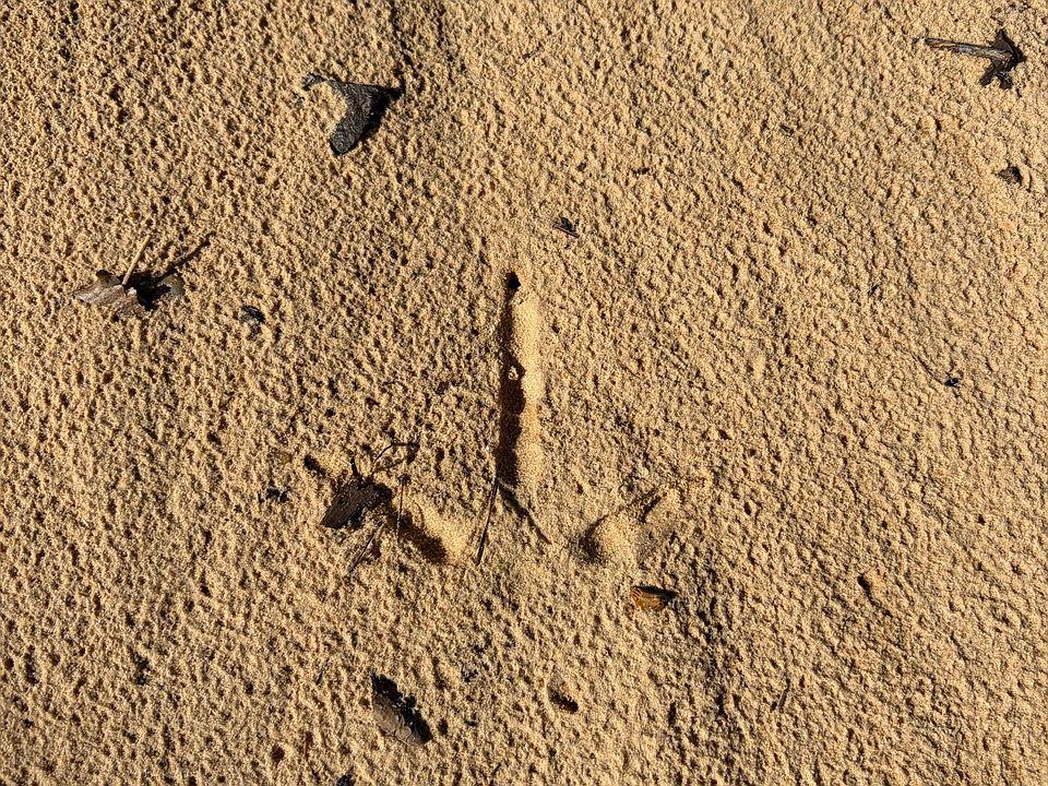 1st image of County Road 163