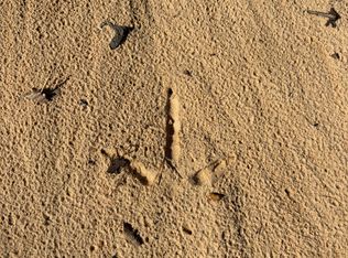 County Road 163, Carrollton, MS 38917