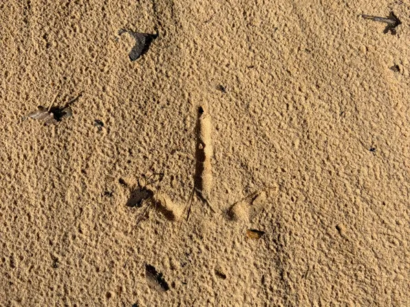 County Road 163, Carrollton, MS 38917