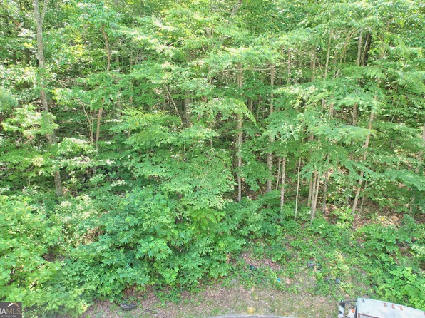 LOT 58 Bent Grass Way, Clayton, GA 30525
