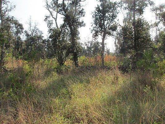 2nd image of Paradise Pkwy Lot 9