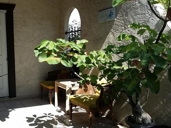 dobson rd 4 Covered Patio