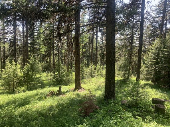 Cabin, Wallowa, OR 97885