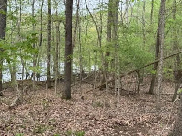 0 Motley Cir Lot 12, Eddyville, KY 42038