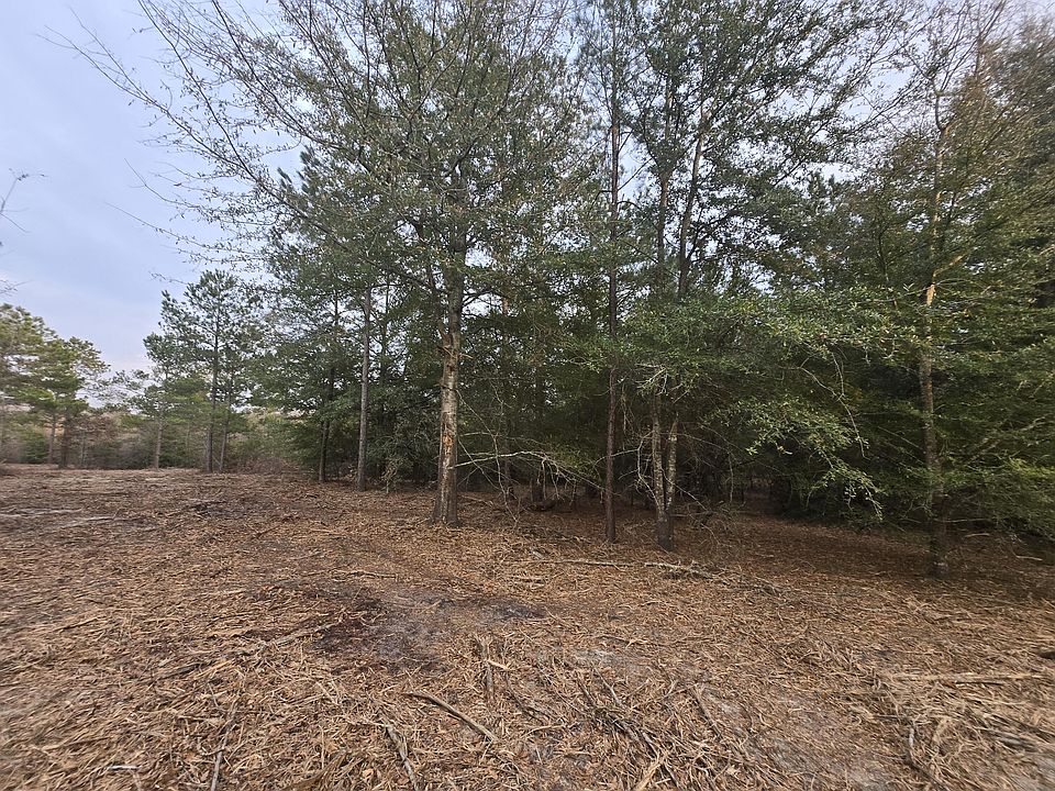 2nd image of 5 Blue Bonnette Valley