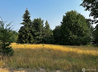 10346 210th Lane SW, Rochester, WA 98579