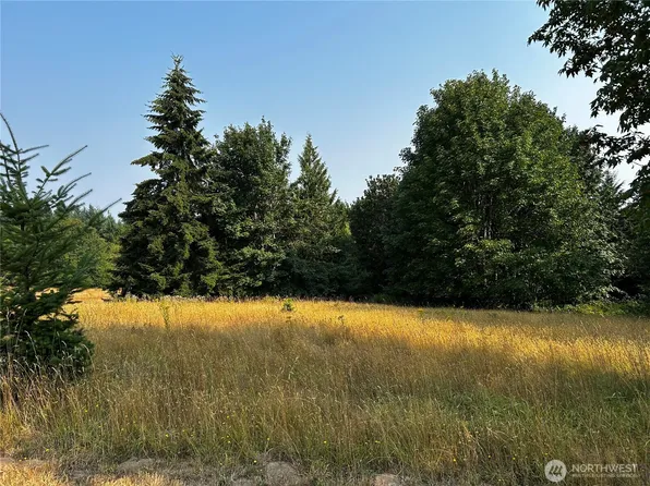 10346 210th Lane SW, Rochester, WA 98579