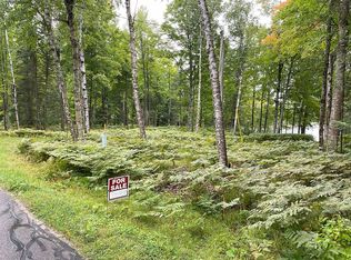 Tbd W Brule Lake Rd, Iron River, MI 49935