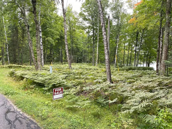 Tbd W Brule Lake Rd, Iron River, MI 49935