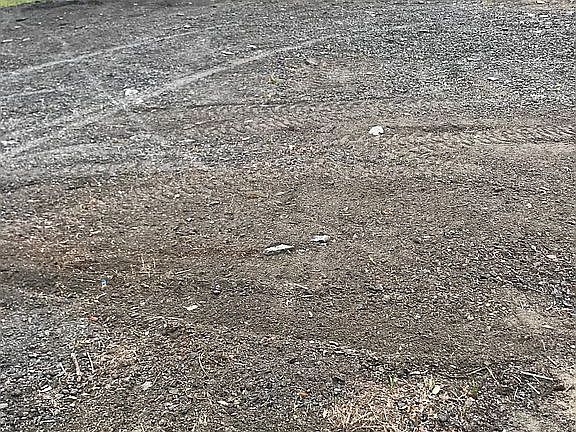 2nd image of 1107 Bay Ave