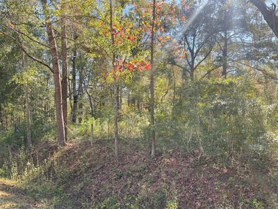 31 Red Fern Rd, Havana, FL, 32333