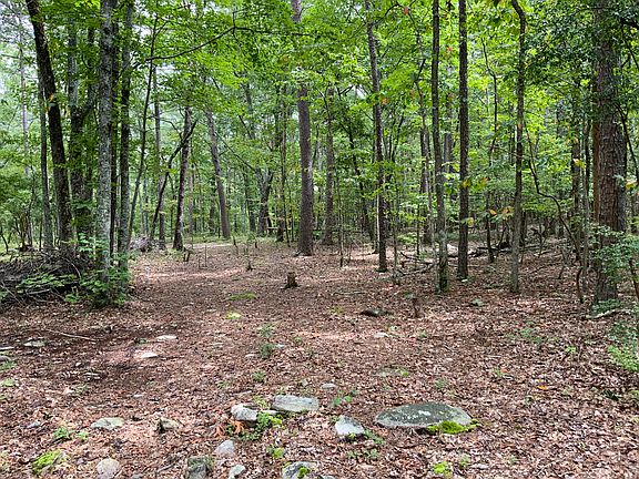 5th image of 875 Mulberry Cir Lot 477
