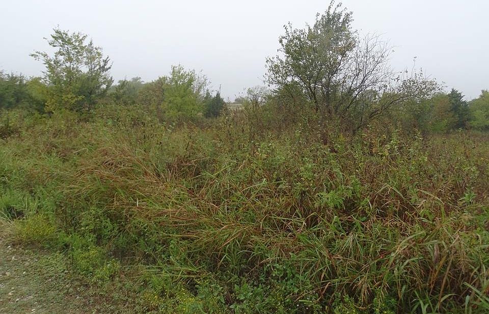 1st image of Hoot Ln