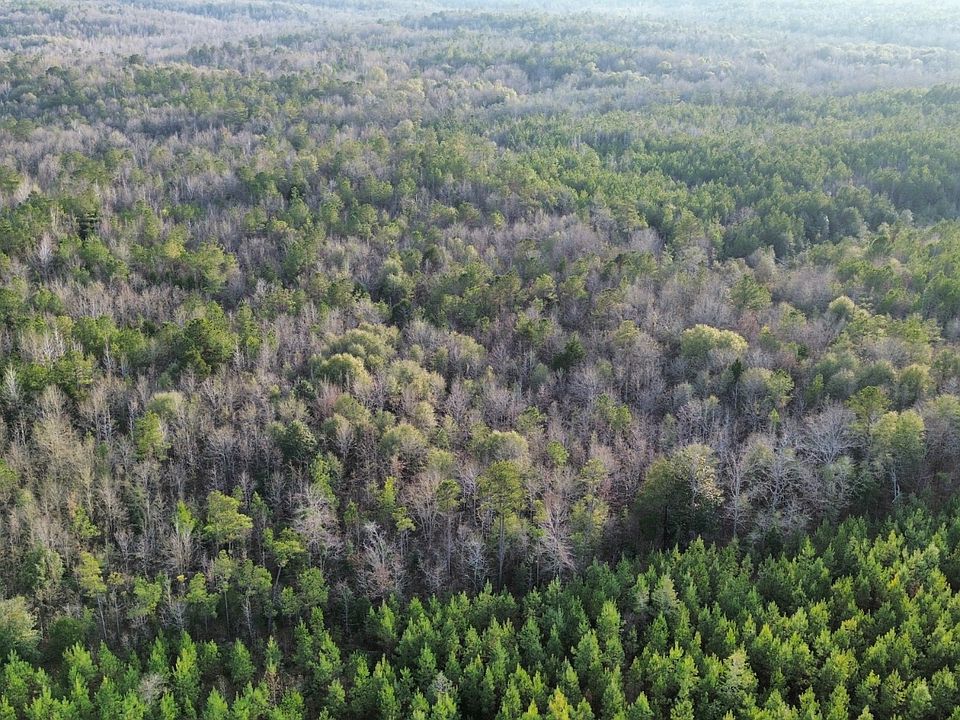2nd image of 0 Southern Pine Rd