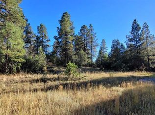 1057 Crooked Rd, Pagosa Springs, CO 81147