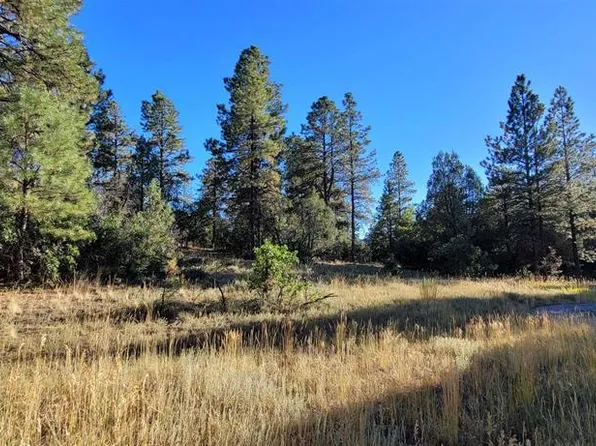 1057 Crooked Road, Pagosa Springs, CO 81147