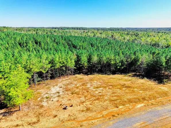 0 Warren Proctor Ln Lot 33, Erin, TN 37061