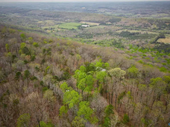 18739B County Road 89, Mentone, AL 35984