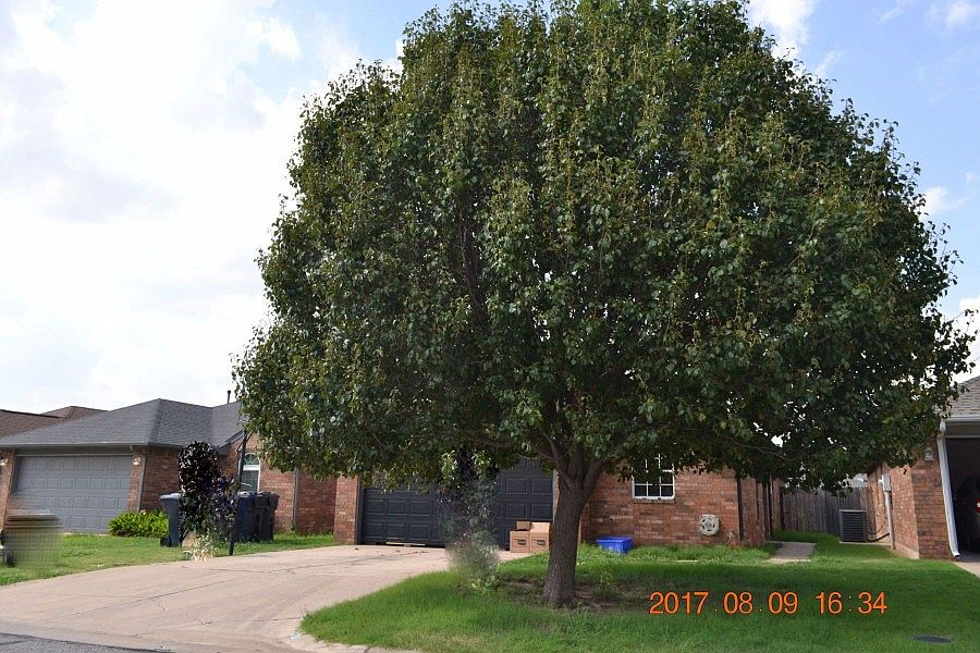 2nd image of 613 NW 120th St