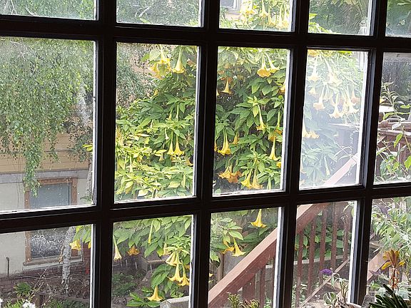 View from the porch window