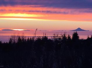 41143 Volcano View Ct, Homer, AK 99603