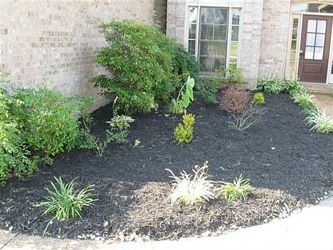 MADISON WOODS front landscaped after new mulch down (Small)