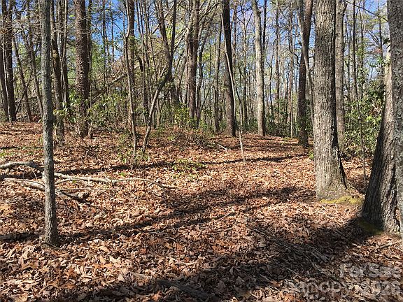 3rd image of 0 Lytle Mountain Rd