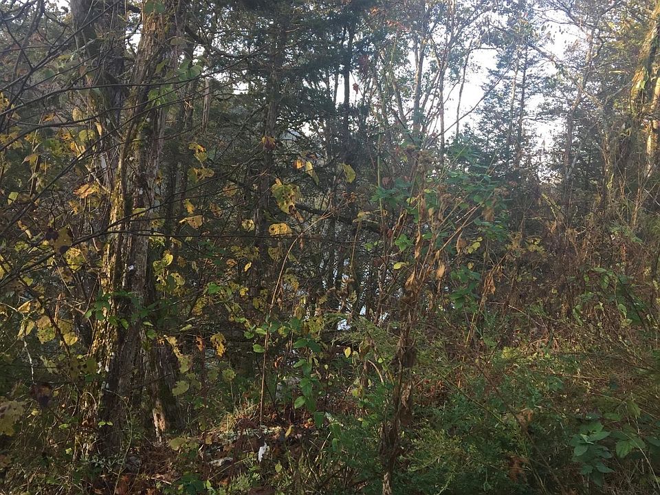 2nd image of Bear Creek Rd