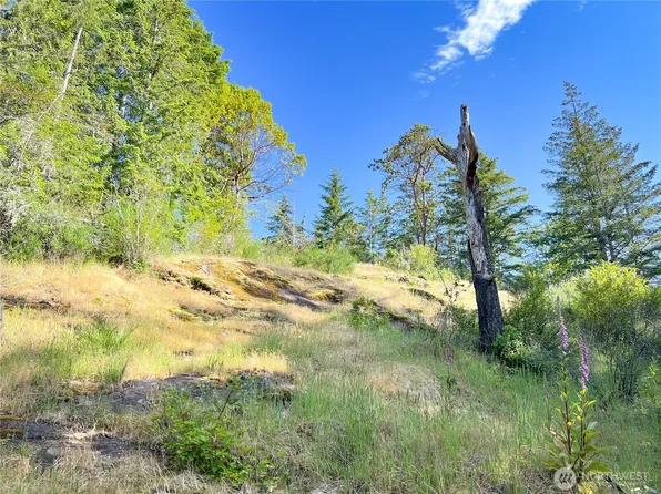 311130 US Highway 101, Brinnon, WA 98320