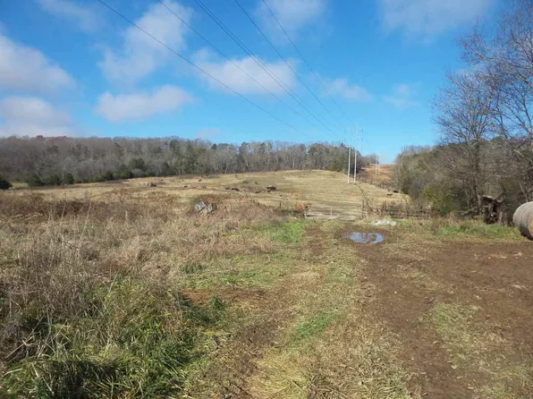 Dumplin Valley Rd, New Market, TN 37820