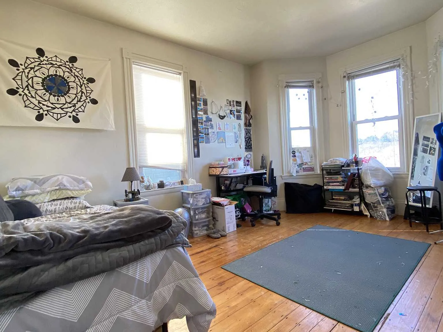 3 bed, $2,800 — Photo 3